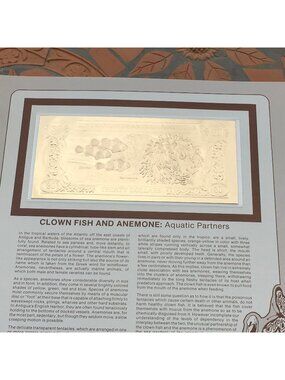 Gold Bank Notes Of Antigua &  Barbuda 23 K Gold 30 Dollars Clown Fish & Anemone